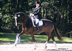 Leslie de Grandmaison